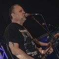 Click to enlarge GutterPunk - Professional Concert Photography